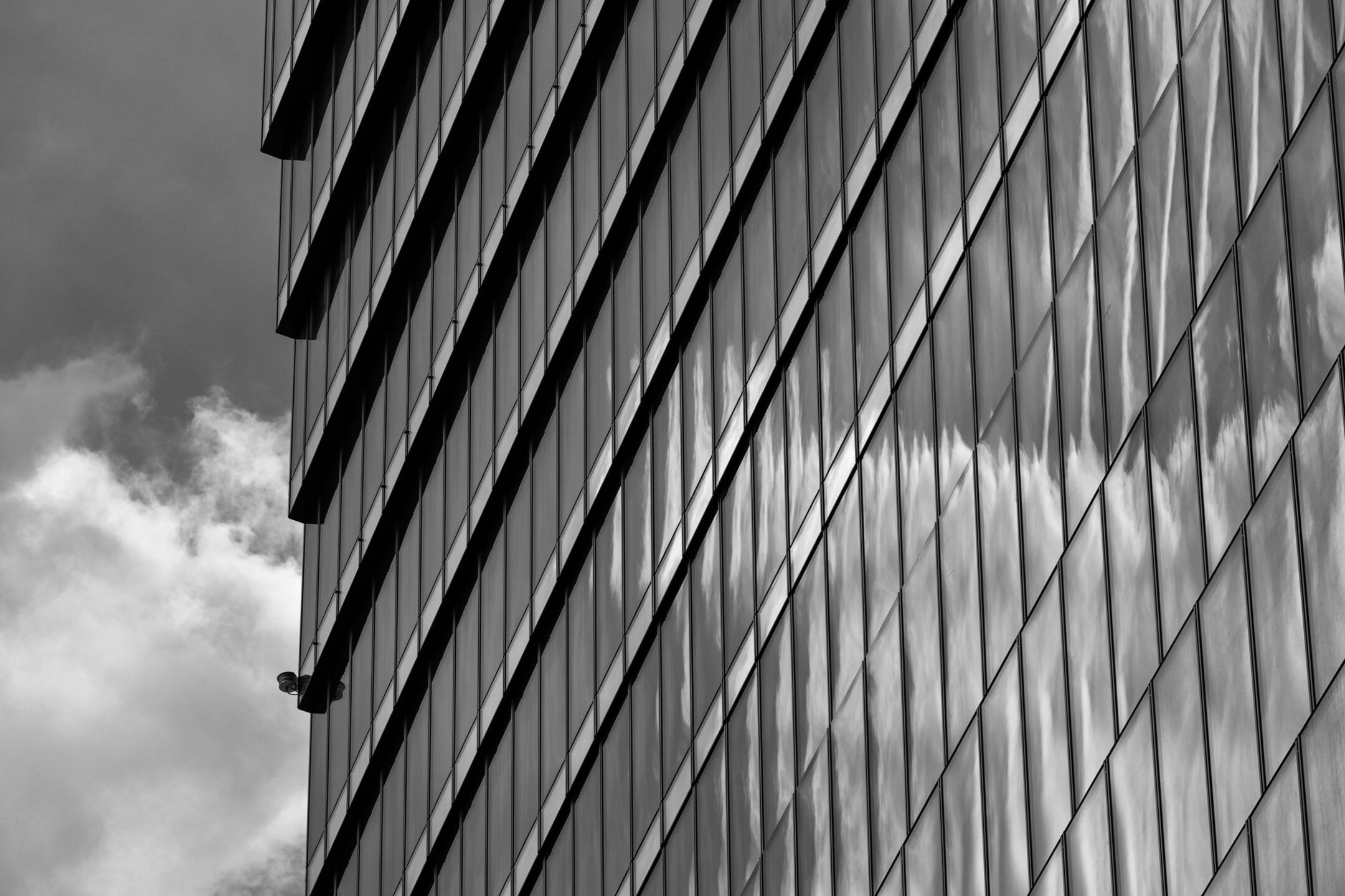 shutterstock 1547214842