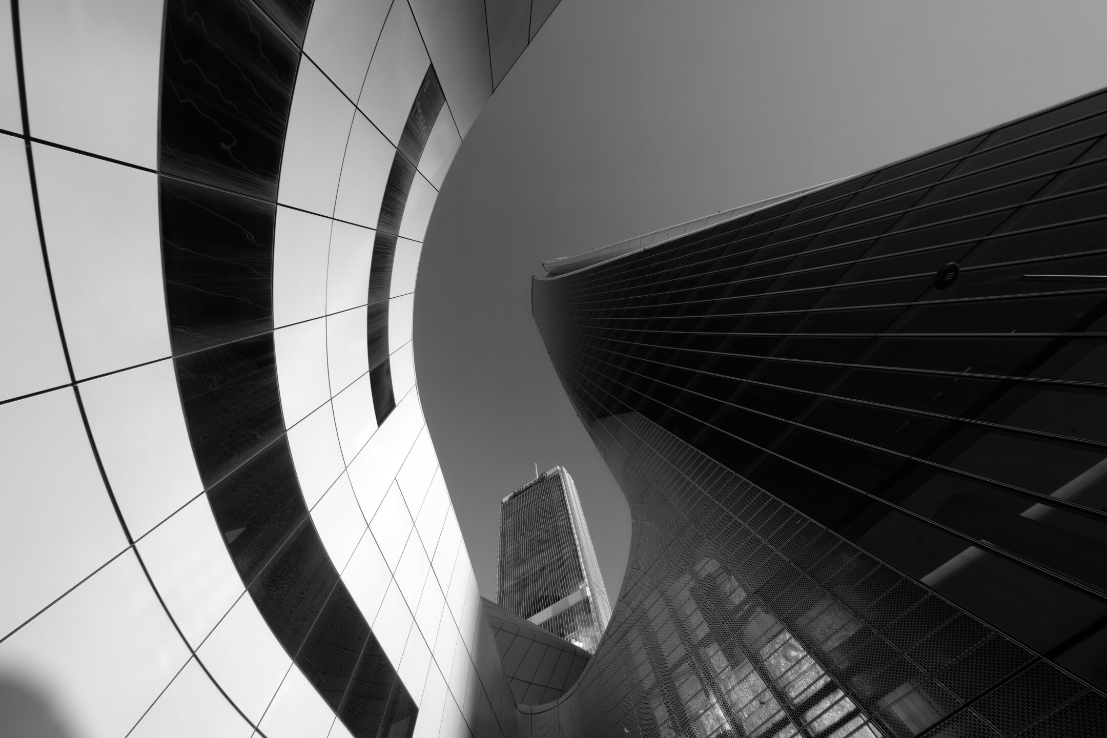 shutterstock 2418478701